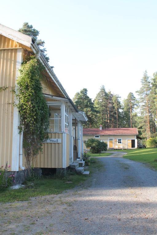 B&B Pinus Мянтюхарью Экстерьер фото